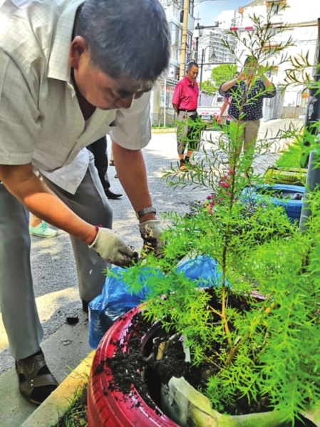 水泥地基变身“微花园” 安全隐患没了 小区也美了