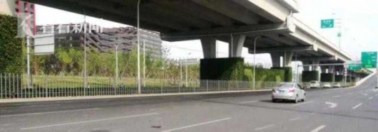 解决高架下绿化种植难题 新技术试点取得成功