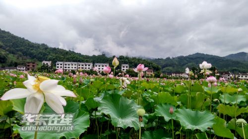 ��������ĺ����续