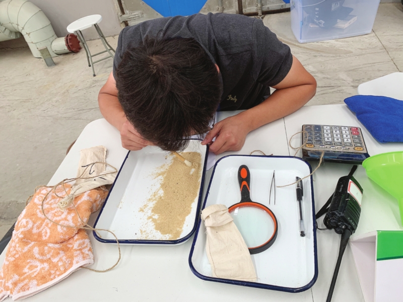 看“粮工巧匠”如何守好一方粮仓