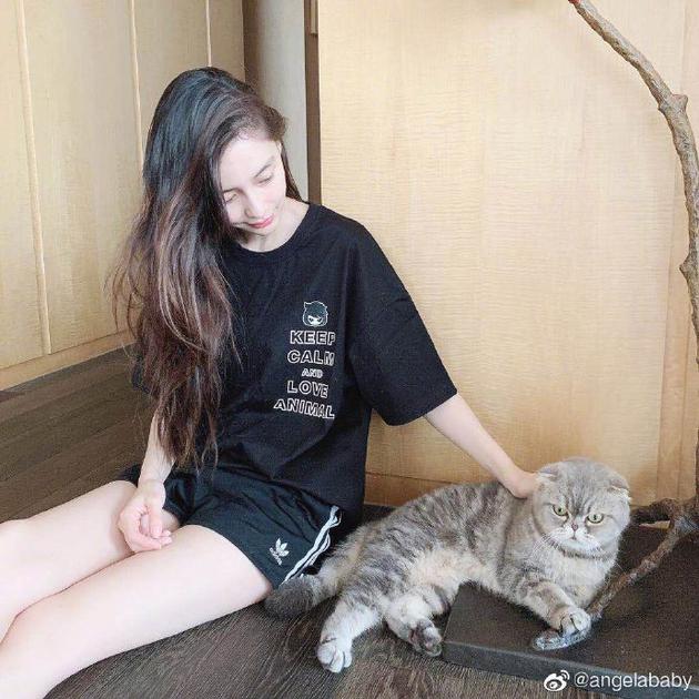 baby风波后和爱猫合影 网友自叹生不如猫