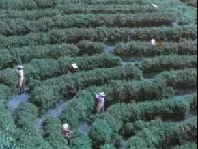 ������ʯ��ɽʫ��ѧ�ᶡ�������ڻ���ɽ�ɷ���