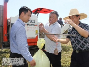 �Ͳ˻��ղ�������������������á�